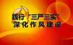 三严三实专题教育心得8篇