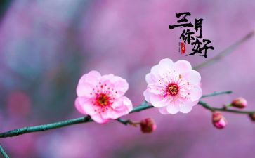 三月蝗的读后感6篇