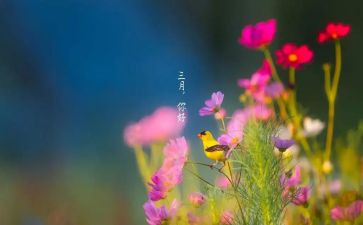 员工三月计划6篇