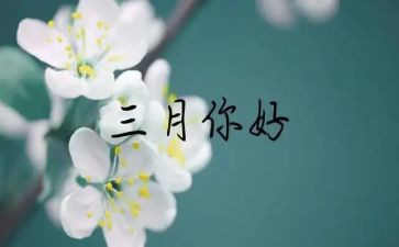 中班三月份工作总结6篇