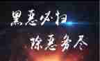 税扫黑除恶工作总结5篇