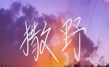 写撒野的作文6篇