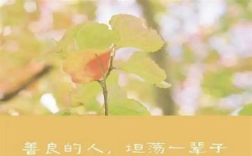 改善的心得体会5篇