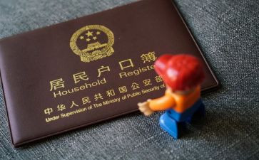 宝宝上户申请书5篇
