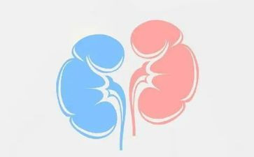 护士肾内科的心得体会范文6篇