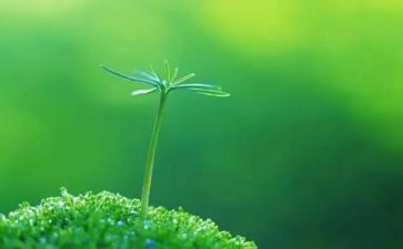 注意安全珍爱生命演讲稿7篇