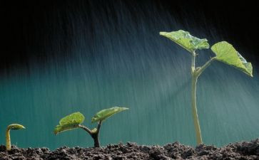 生命生态与安全教案6篇