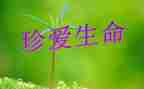 班会珍爱生命心得体会5篇