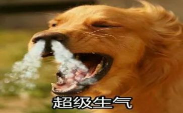 写生气的作文8篇