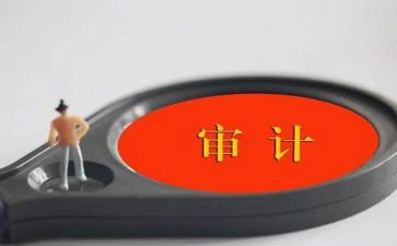2024审计工作个人总结范文7篇