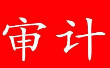 审计员年度总结模板5篇
