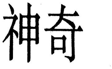 神奇的鞋作文600字最新5篇