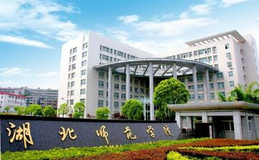 教师大班教育心得体会5篇