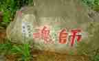讲师德,铸师魂心得体会6篇