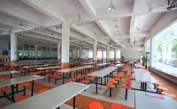 关于食堂调查报告6篇