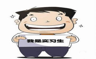 实习报告实习心得体会6篇