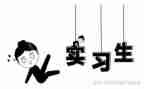 政府实习心得体会6篇