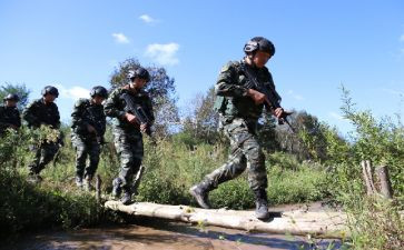 警务实战化培训心得体会8篇