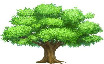 树教学反思优质5篇