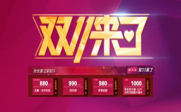 双11作文300字最新5篇