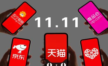 双11作文300字5篇