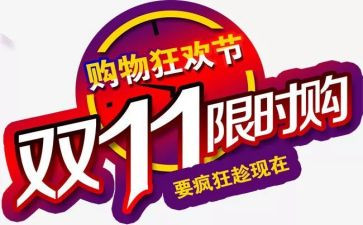 双11市场调研报告8篇