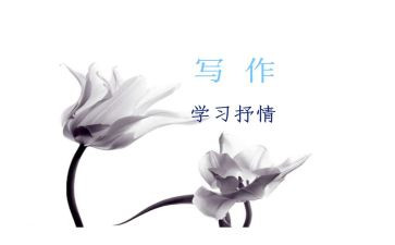 母亲抒情作文5篇