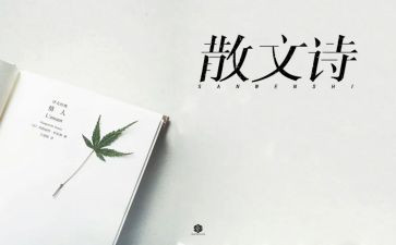 母亲抒情作文优质5篇