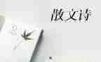 母亲抒情作文优质5篇
