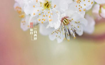 四月23读书日心得体会7篇