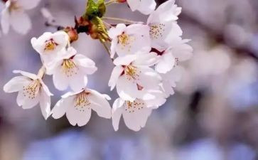 四月份的讲话稿通用5篇