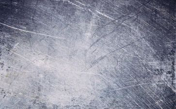 作文素材800字5篇