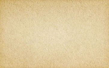 高中作文素材800字作文6篇