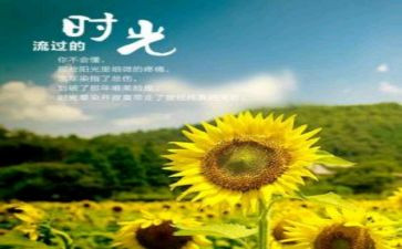 学习七年知青岁月心得体会8篇