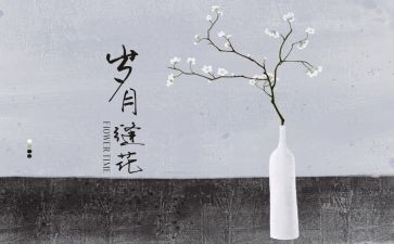 她温暖了我的岁月作文推荐7篇