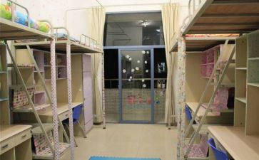 宿舍会工作总结模板6篇