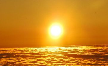 太阳与铁读后感5篇