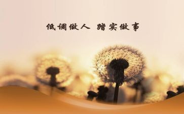 踏实的作文8篇