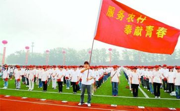 特岗教师再培训心得体会参考6篇