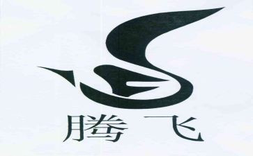 《腾飞的中国》演讲稿5篇