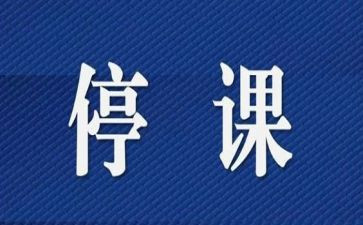 停课的心得体会作文7篇