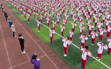 幼儿园体育活动游戏教案优质7篇