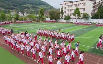 社区活动体育活动方案策划8篇