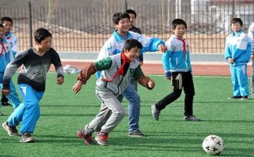 幼儿园体育活动游戏教案7篇