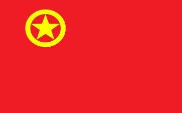 团青年志愿者活动心得8篇