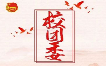 团委工作总结个人范文8篇