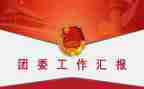 进团委工作的心得体会5篇
