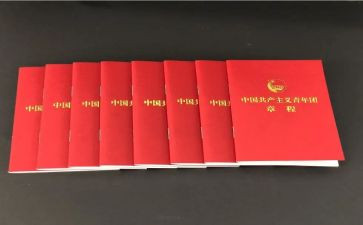看团章心得体会6篇