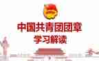 团史团章学习心得体会8篇