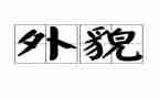 描写人物外貌的作文6篇